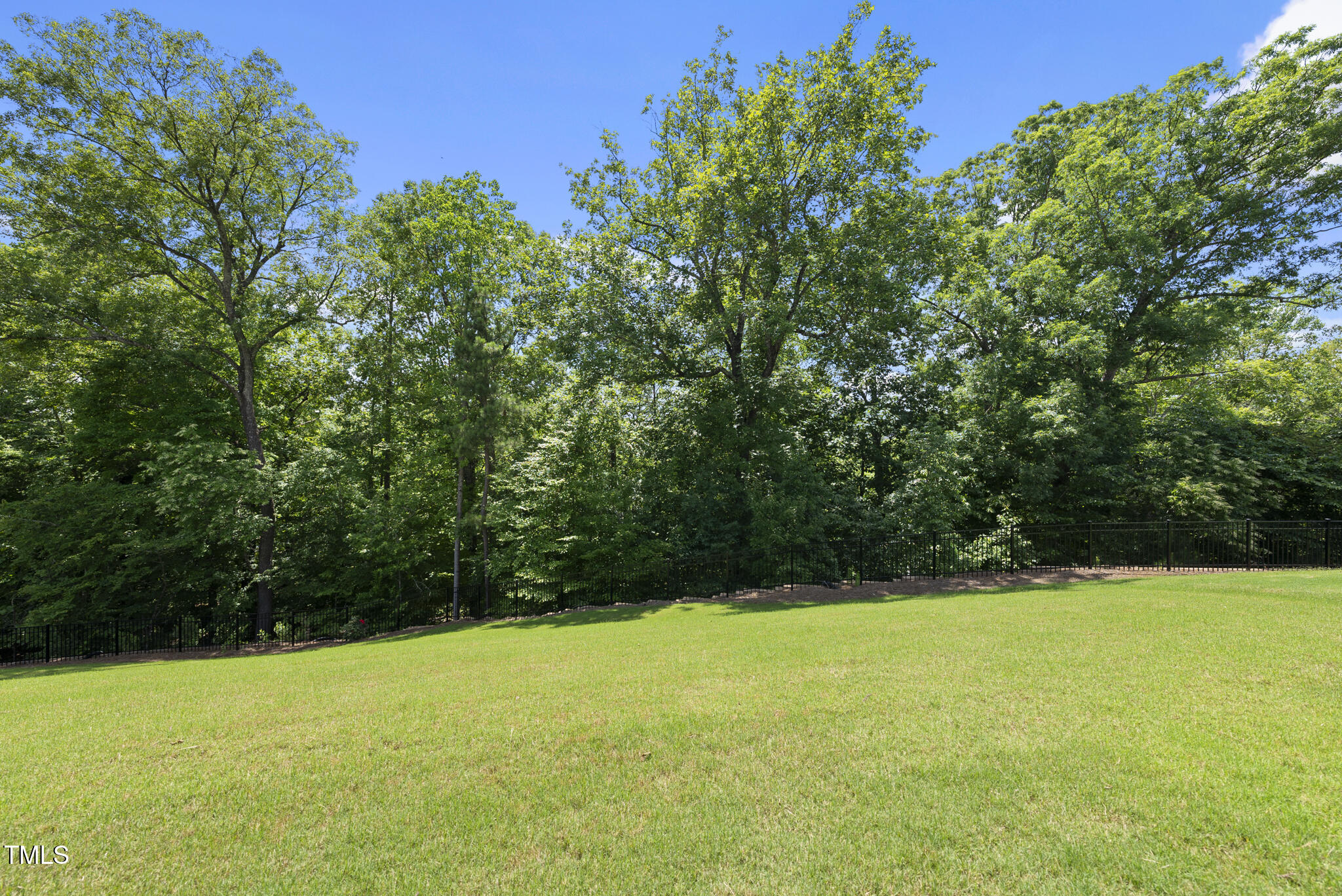 1125 Surveyor Drive