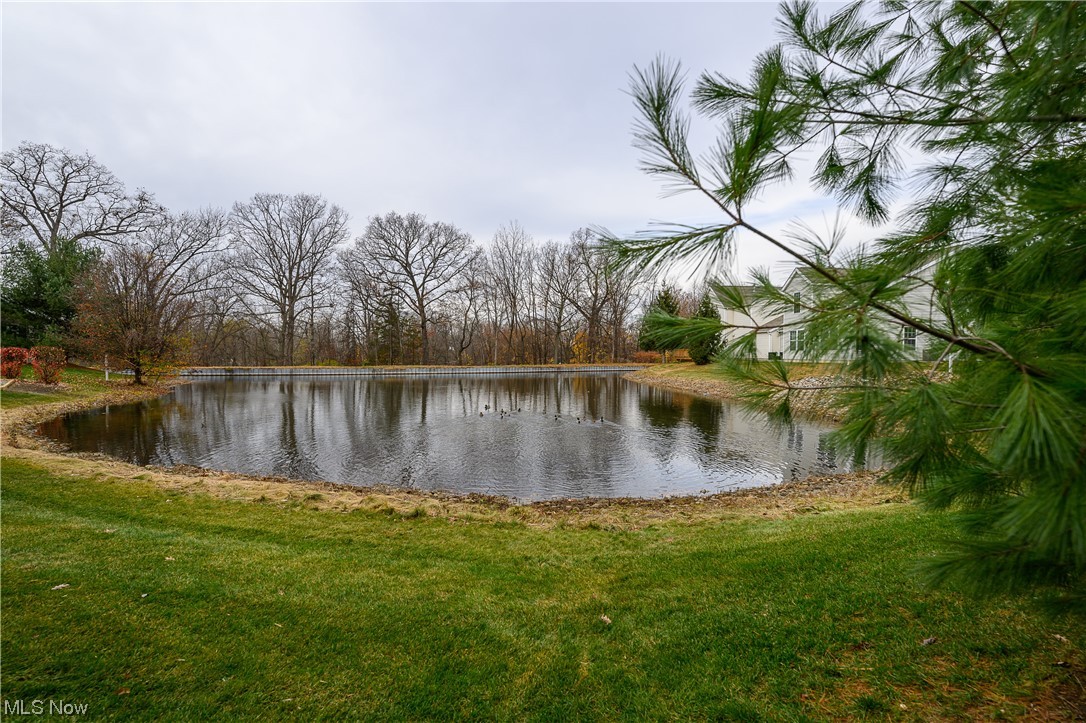 2864 Pintail Court