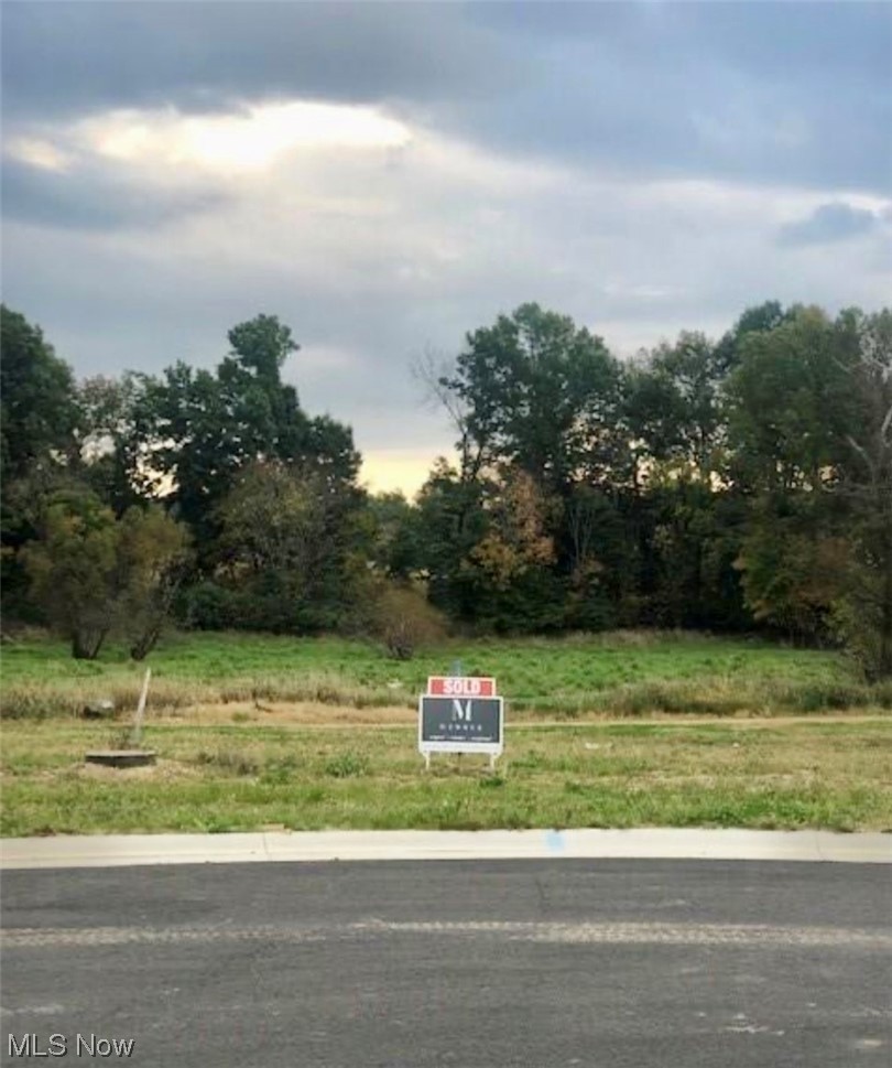 V/L Greenview Avenue NW