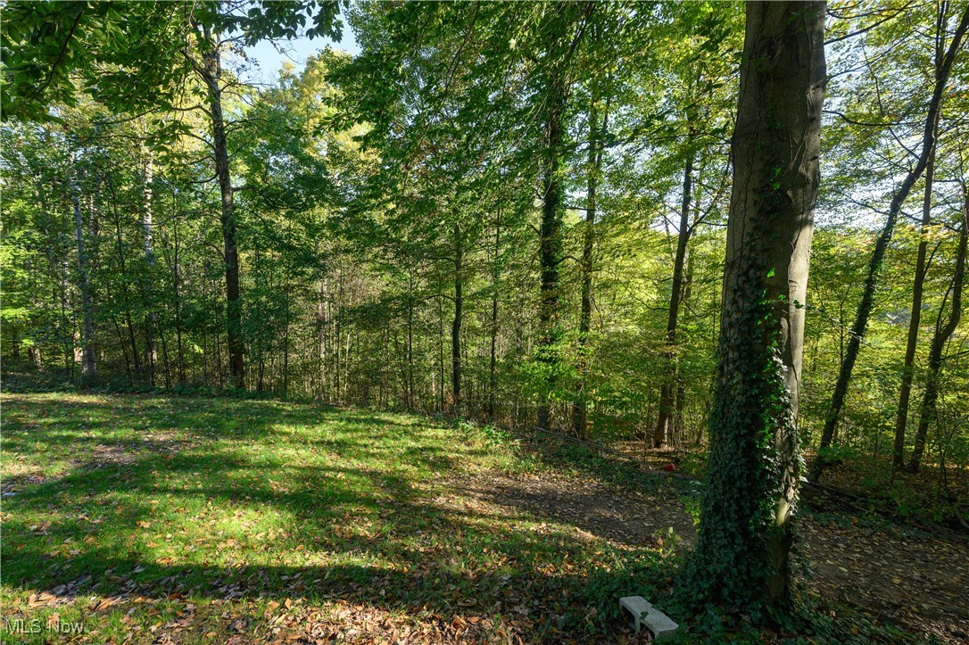 33201 Host Road