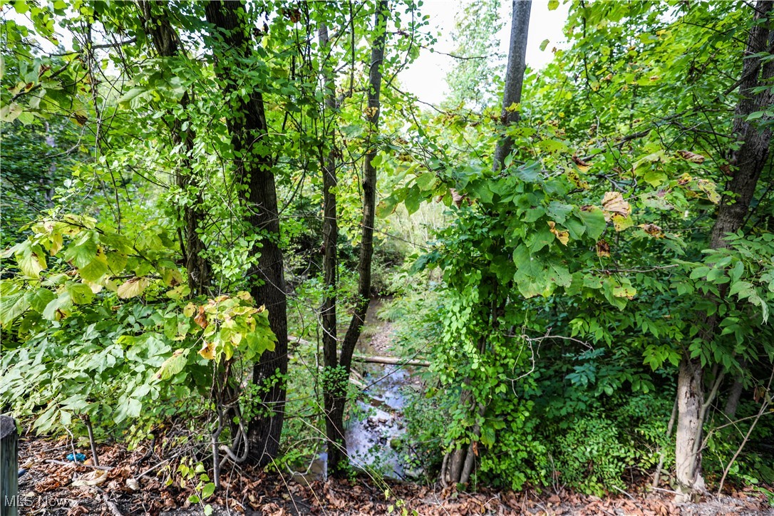 Newton Falls Road