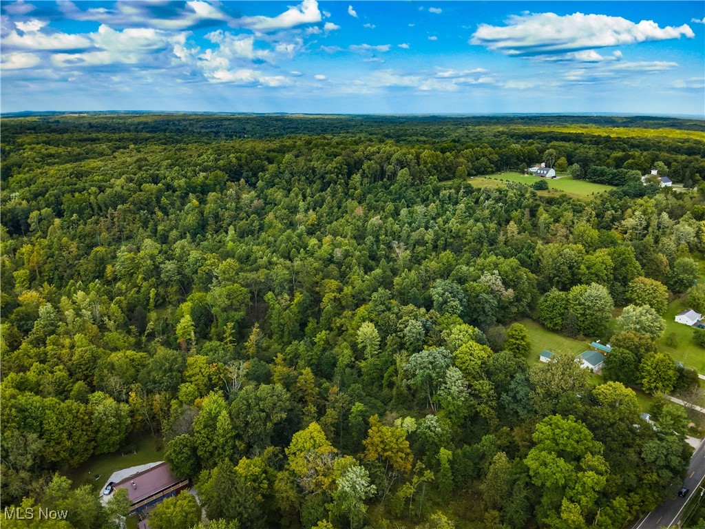 Newton Falls Road