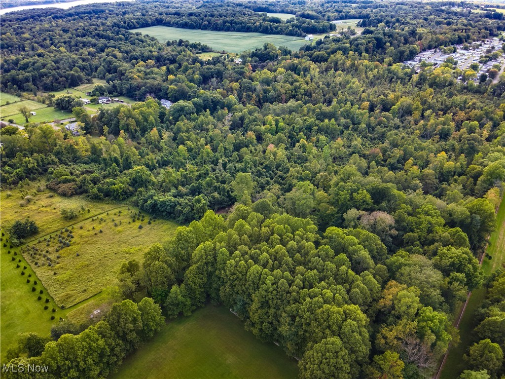 Newton Falls Road