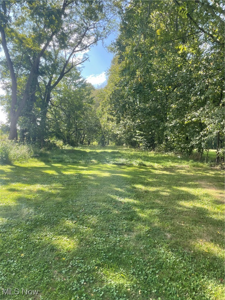 Newton Falls Road