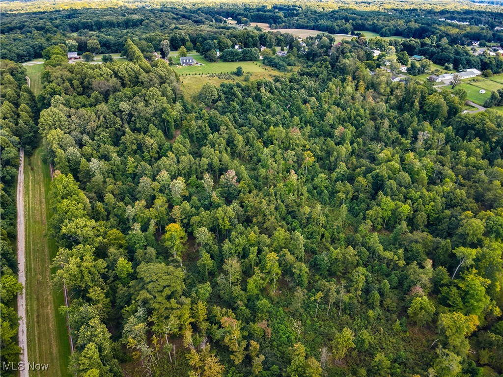Newton Falls Road