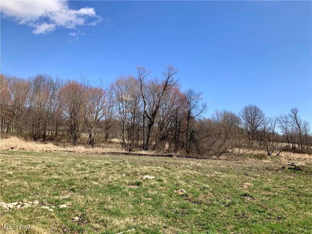 Greenview Avenue NW