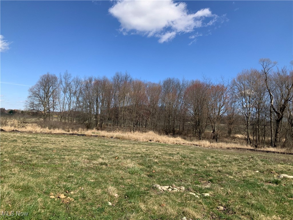 Greenview Avenue NW