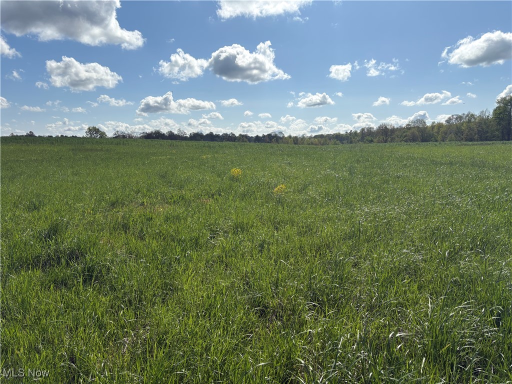 Brosius Road