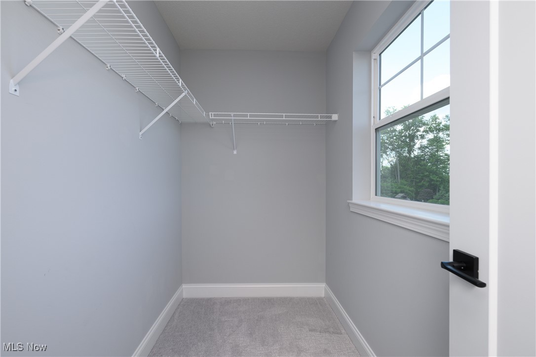 392 Amberley Drive