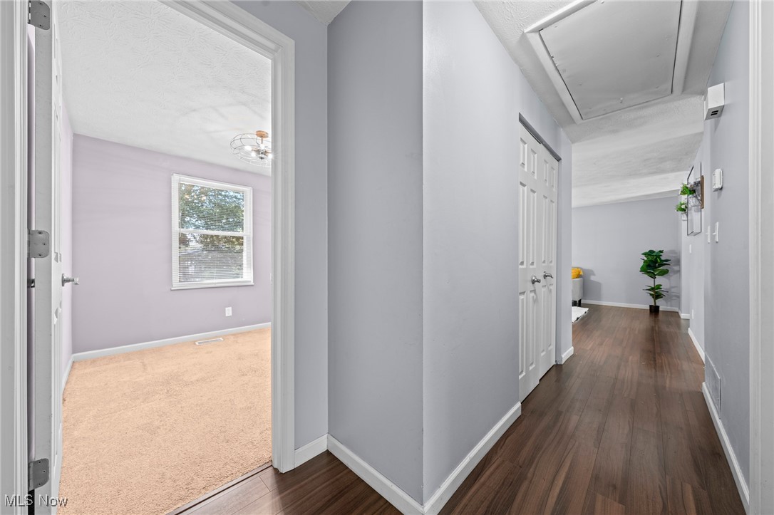 1037 Verona Drive
