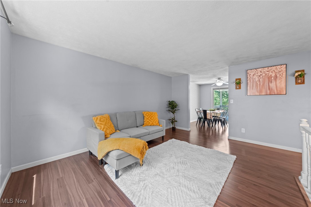 1037 Verona Drive