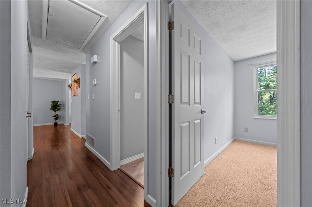 1037 Verona Drive