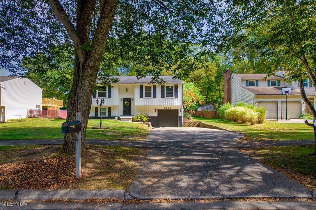 1037 Verona Drive