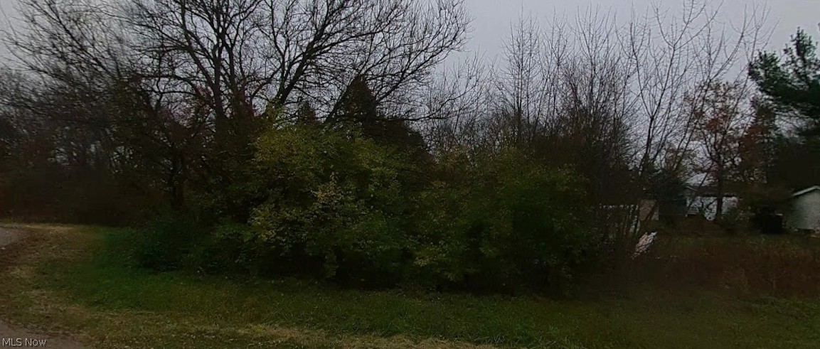 Troyer Avenue NW