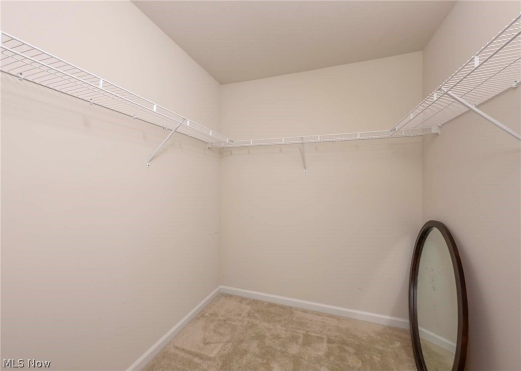 1422 Wood Fern Drive