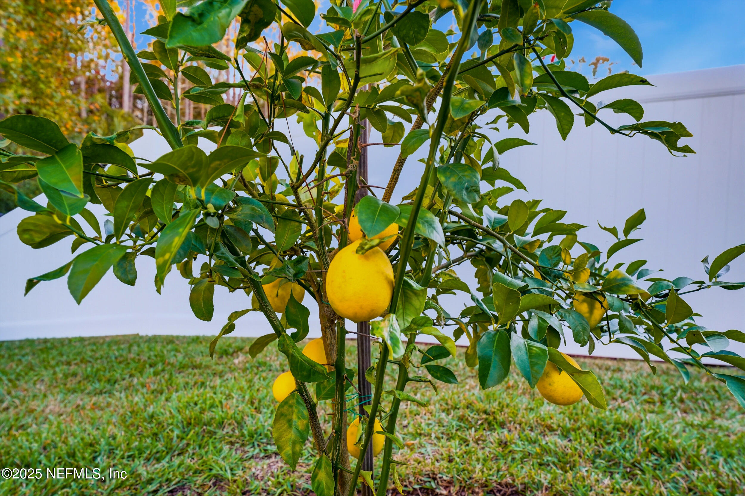 136 EAGLES LANDING Lane, St. Augustine