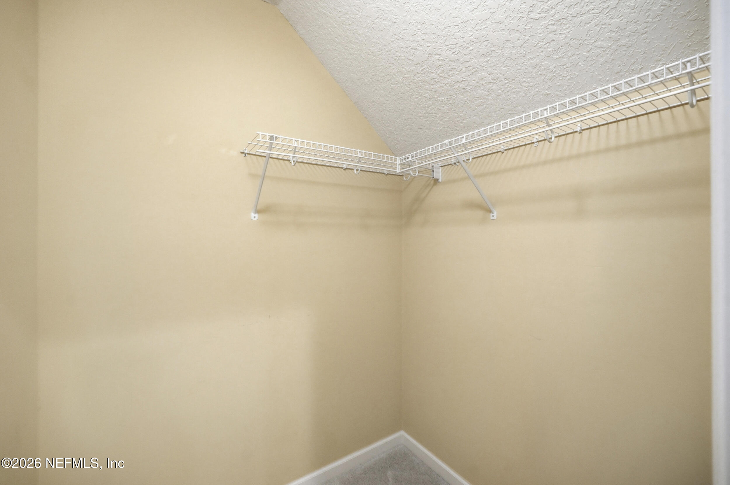 1105 BASIL BRANCH Court, St. Johns