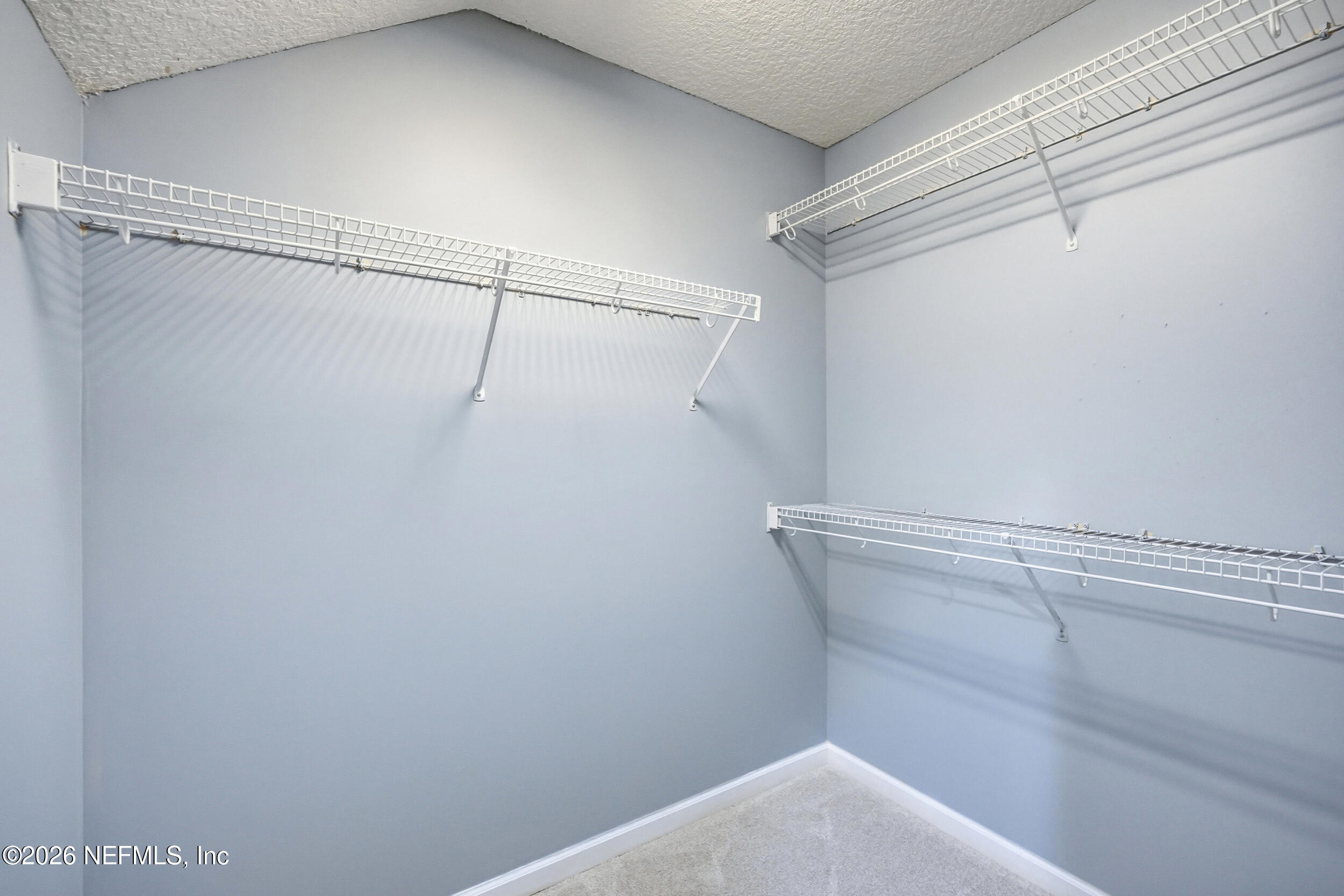 1105 BASIL BRANCH Court, St. Johns