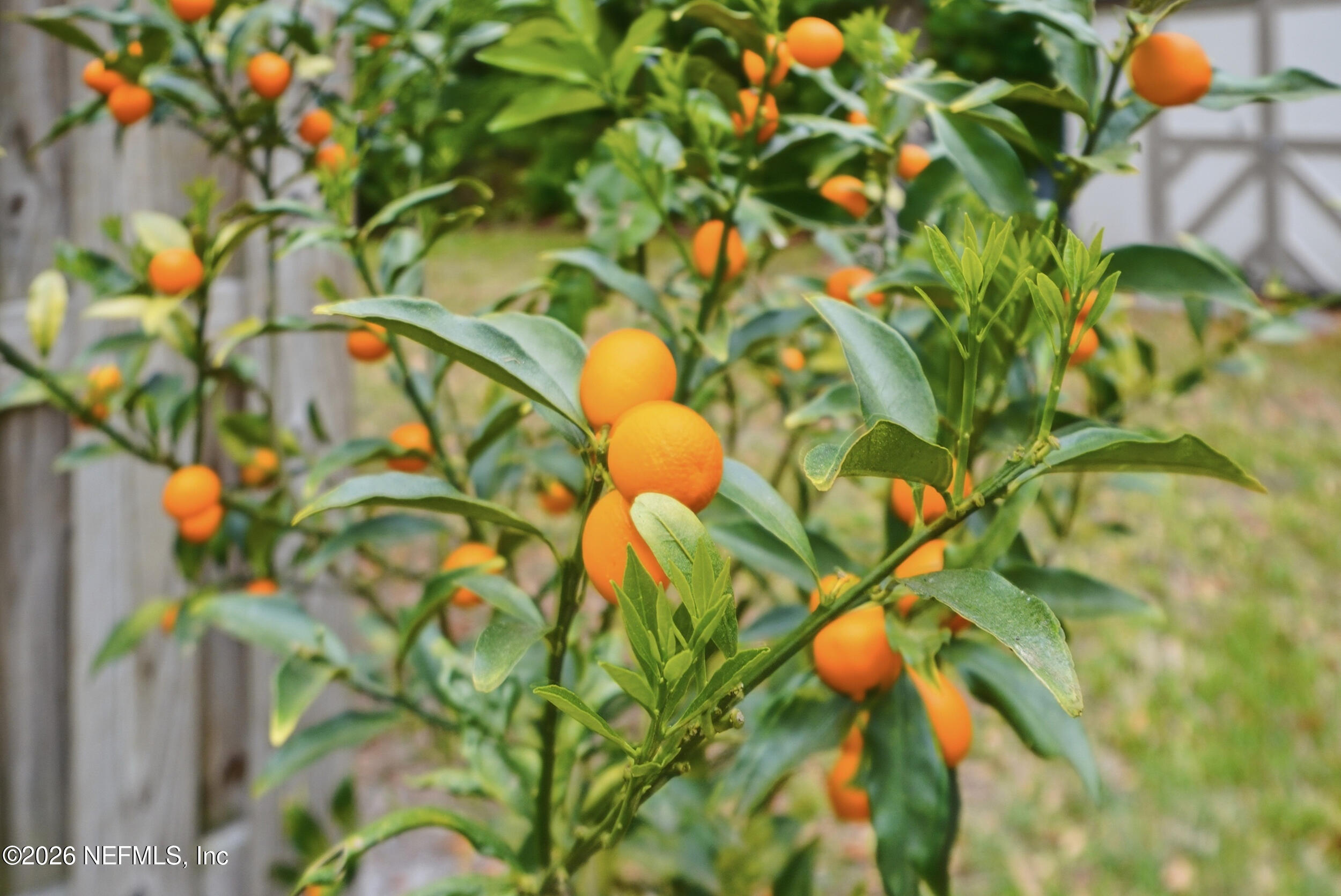 12852 LONGVIEW Drive W