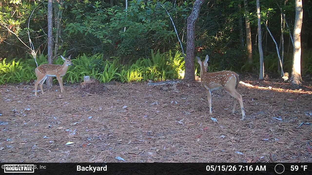 1204 CREEK BEND Road, St. Johns