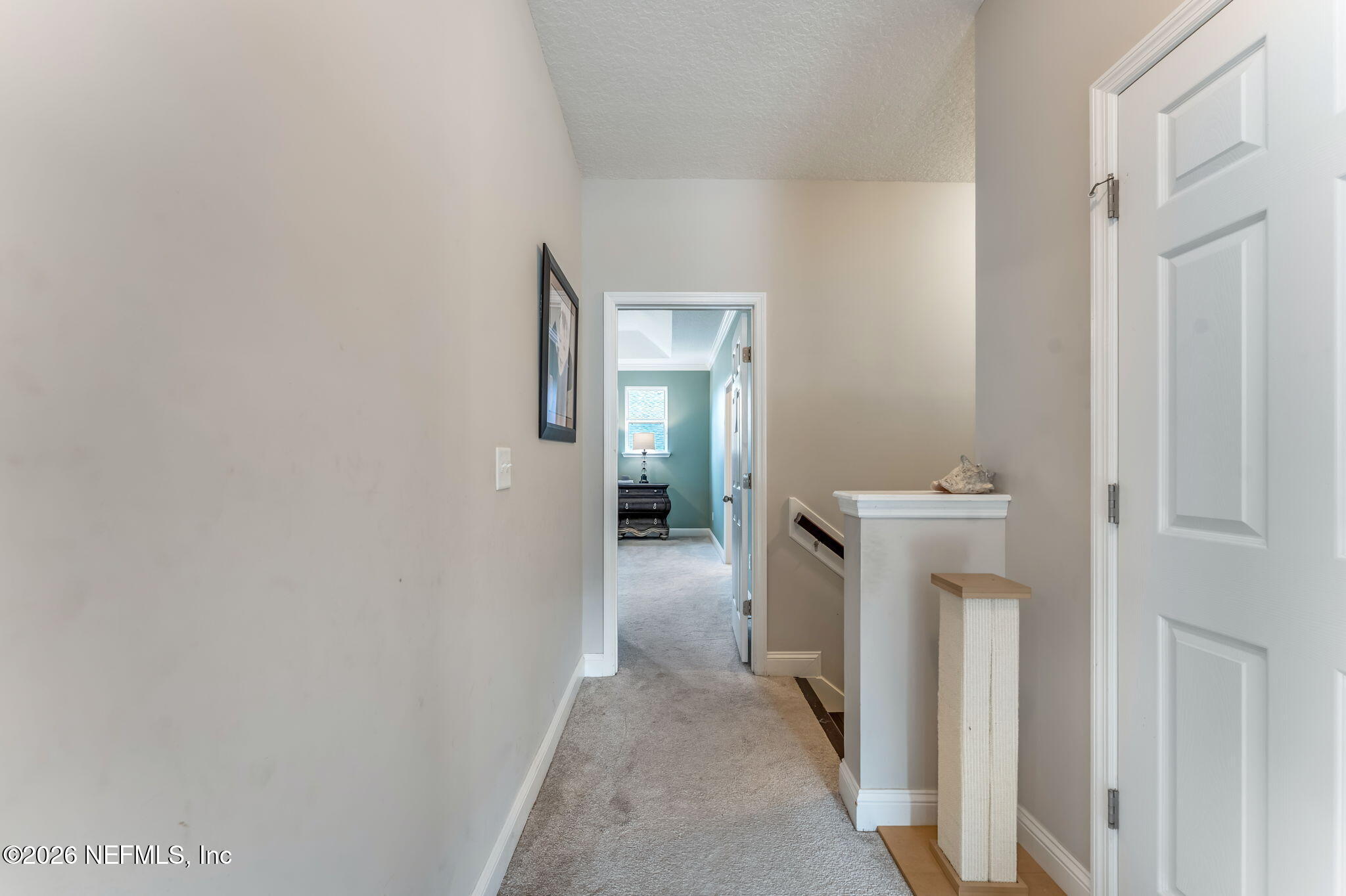 39 MOLASSES Court, St. Johns