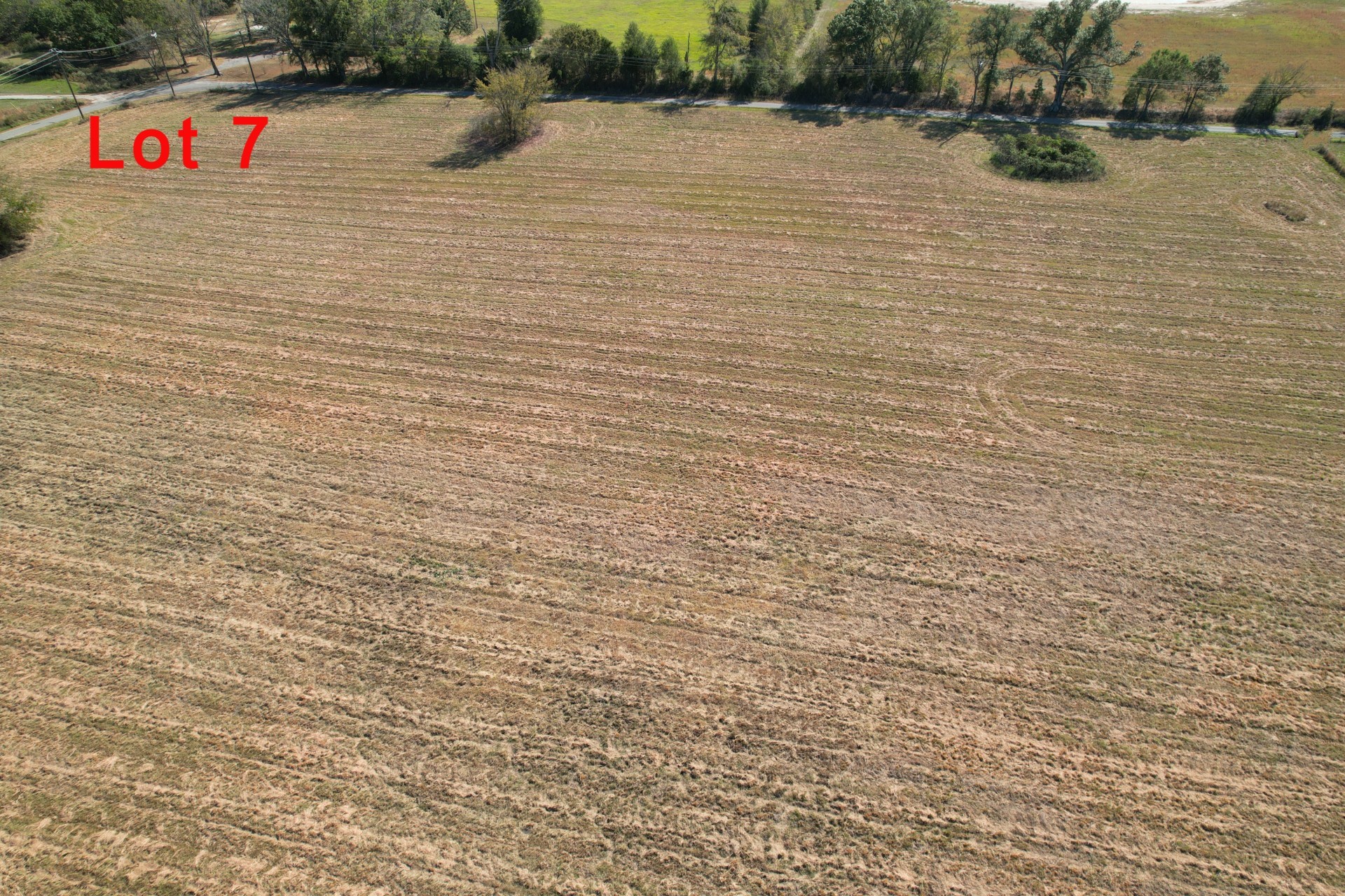 TBD Lot 7 RS County Road 3150