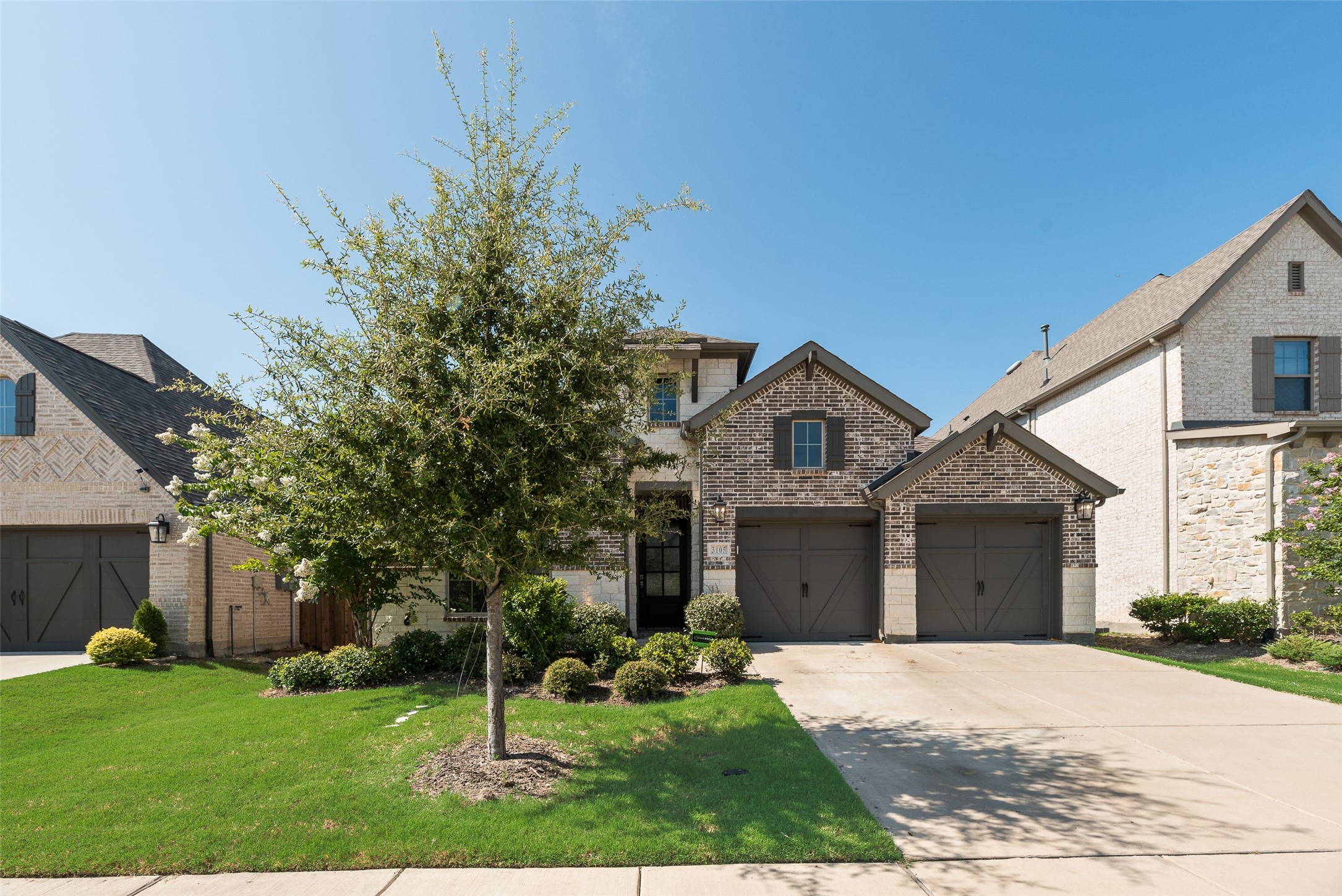 3105 Pedigree Court