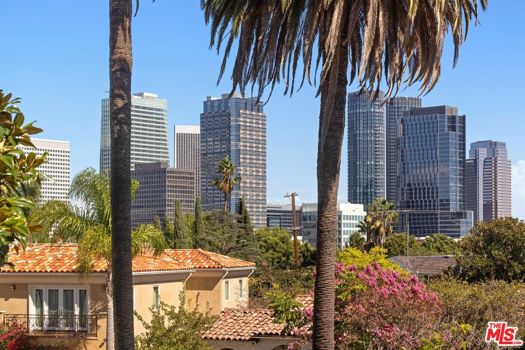 City skyline beyond palm trees and terracotta-roofed homes.