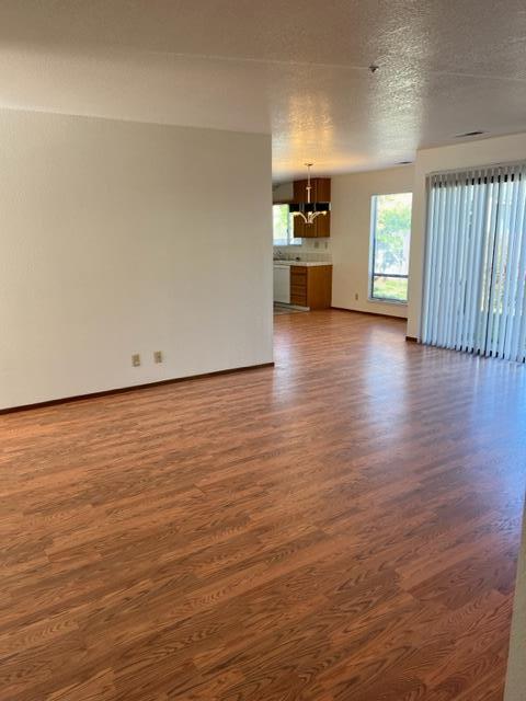 239 Mortimer Lane