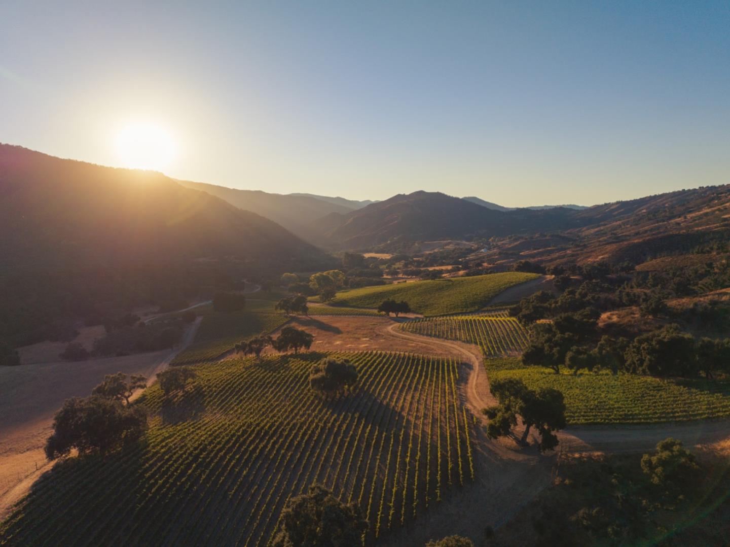 18190 Cachagua