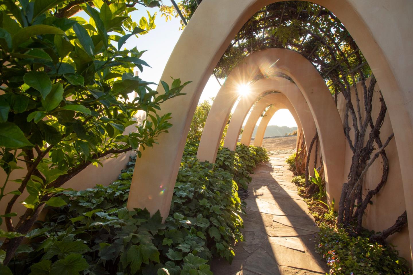 46304 Pfeiffer Ridge