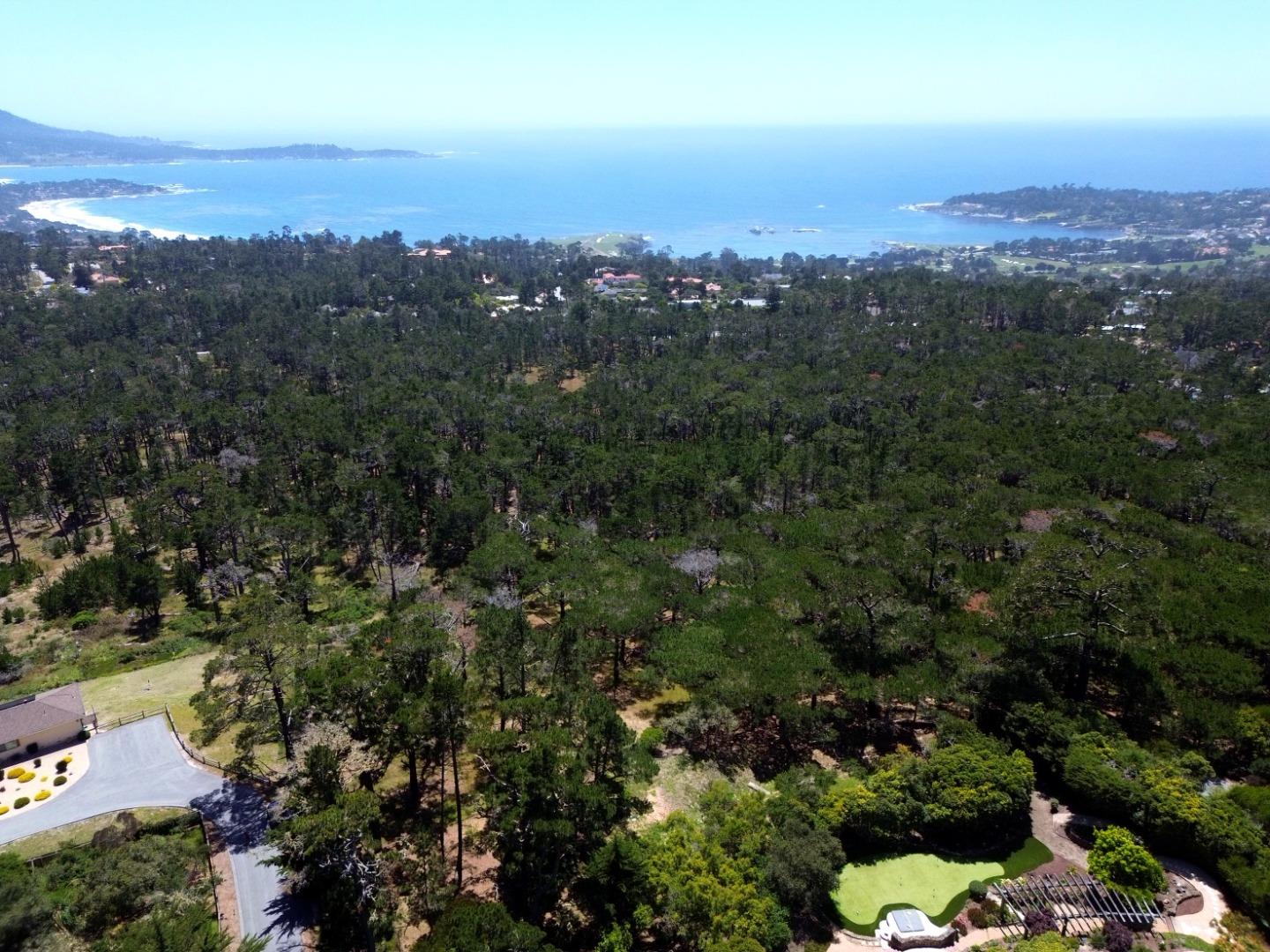 Aerial view of wooded Pebble Beach grounds overlooking the ocean and coastline.