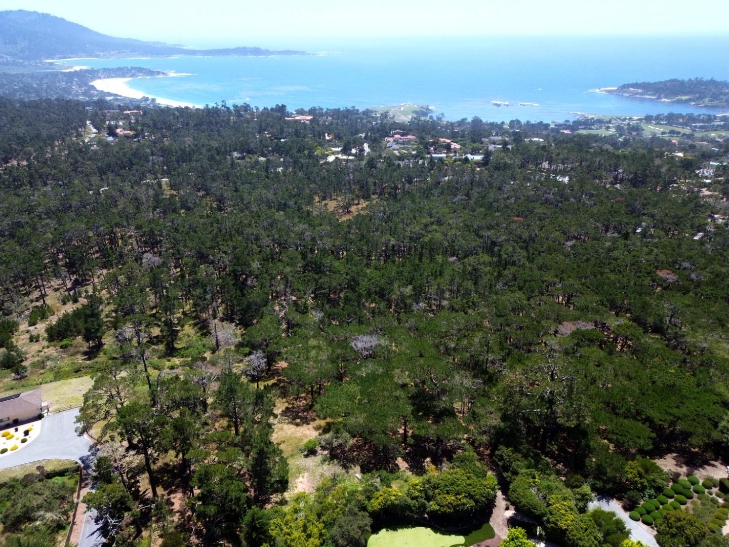 Aerial view of wooded grounds and coastal bay, with landscaped lawn and driveway in the foreground.