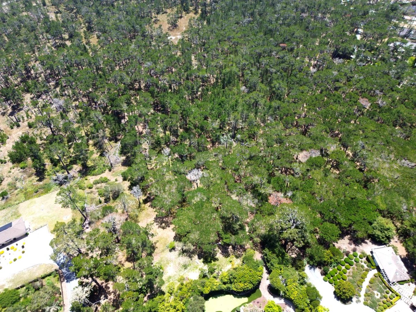 Aerial view of a wooded property with mature trees, open clearings, and a small pond.