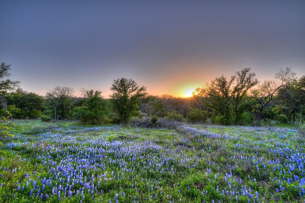 0000 The Trails Parkway