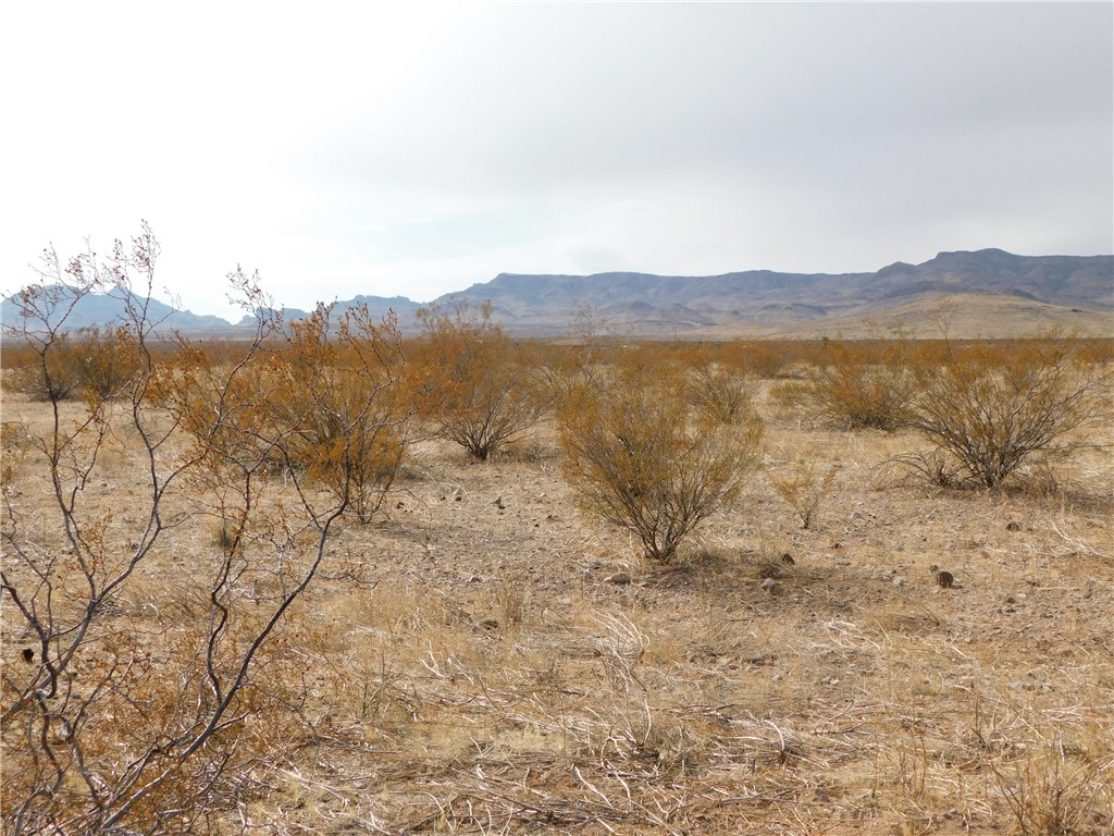 Lot 52-E W Bolsa Drive