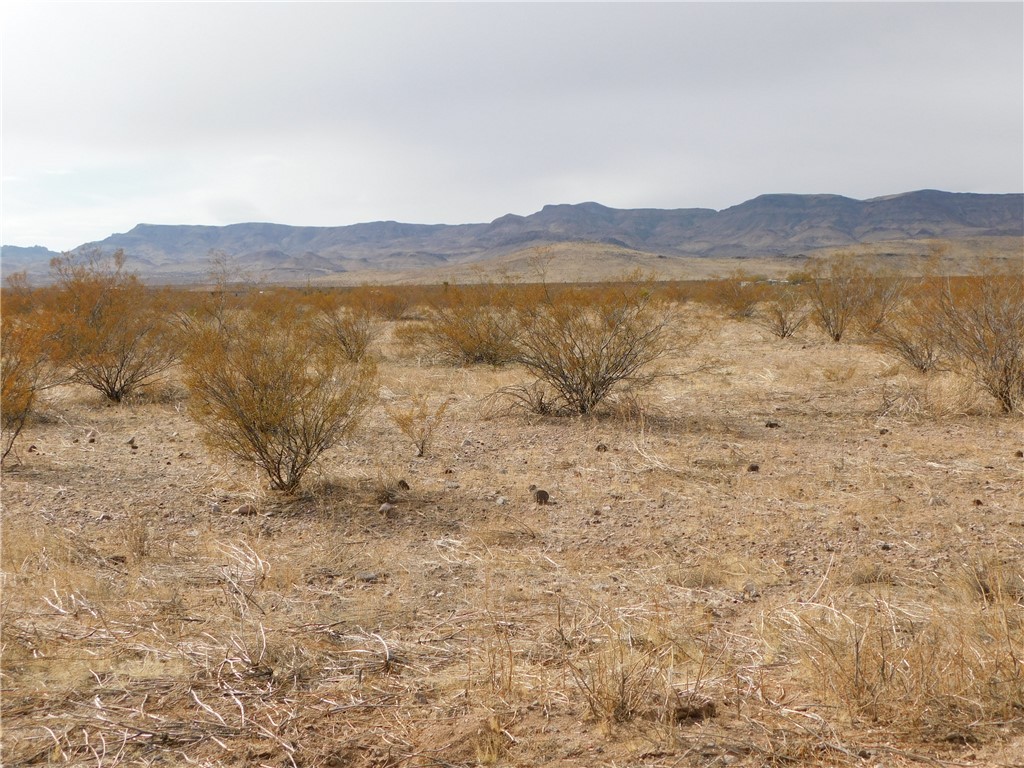 Lot 52-E W Bolsa Drive