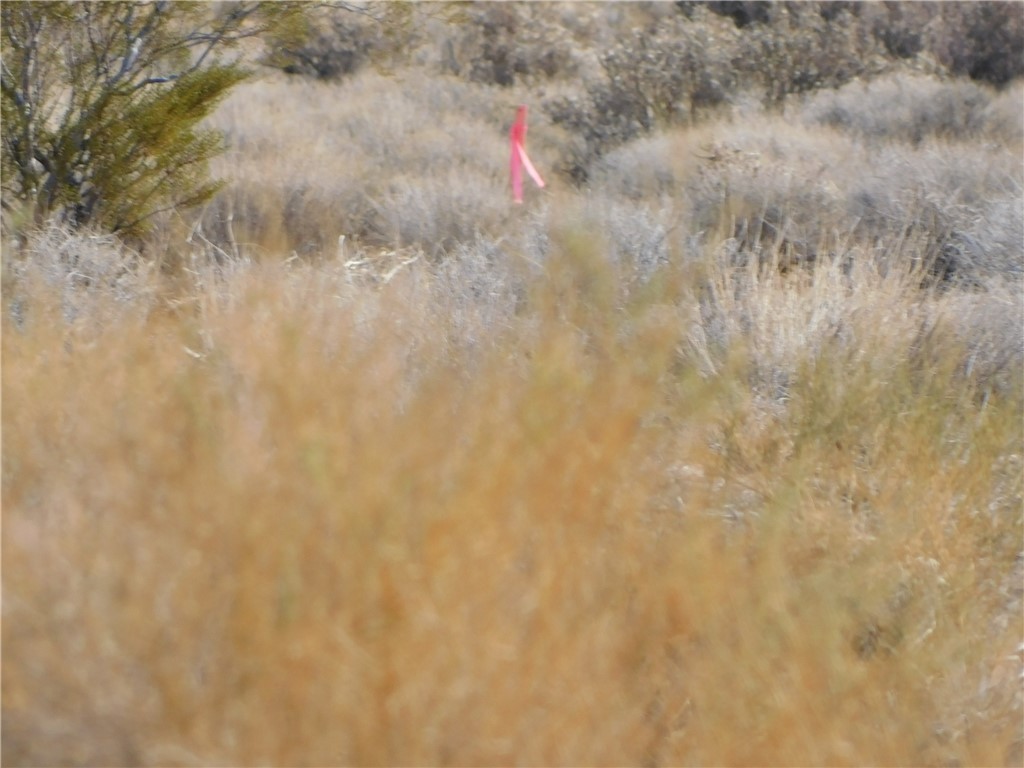 Lot 52-D W Bolsa Drive