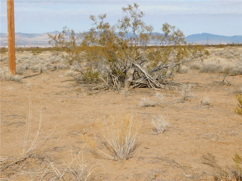 Lot 52-B W Bolsa Drive