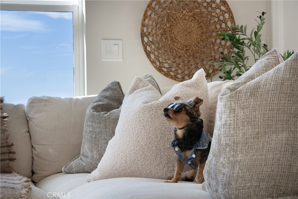 24471 Los Serranos Drive