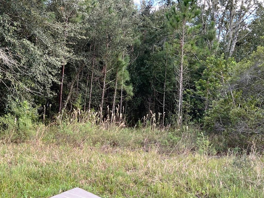 9876 E STATE ROAD 60