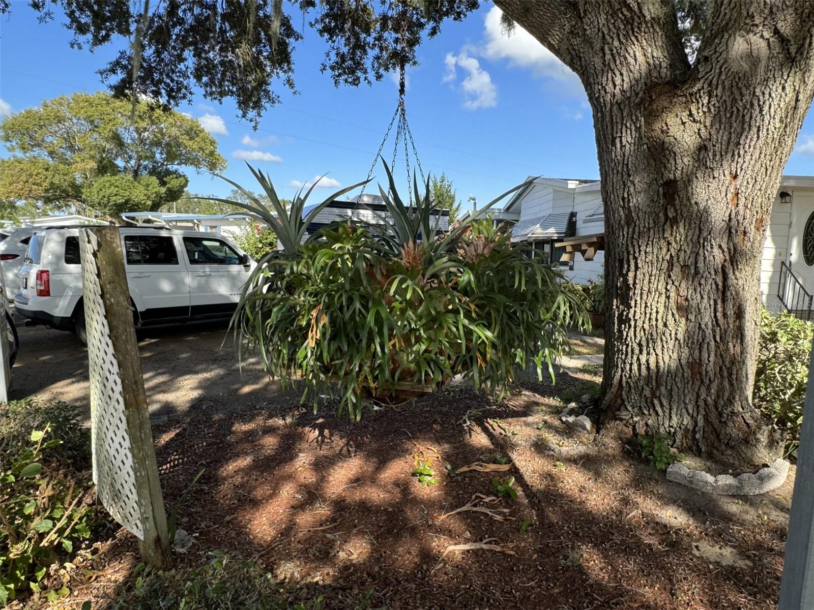 9000 LAKE POINT BLVD