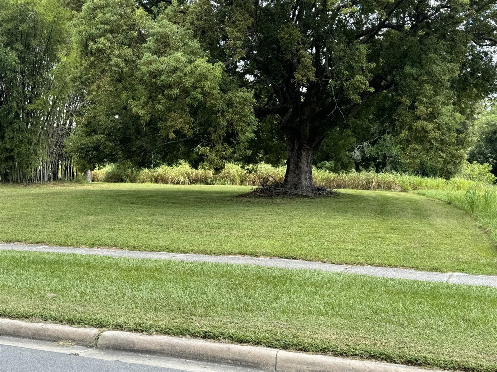 109 109 DR M L KING JR BLVD