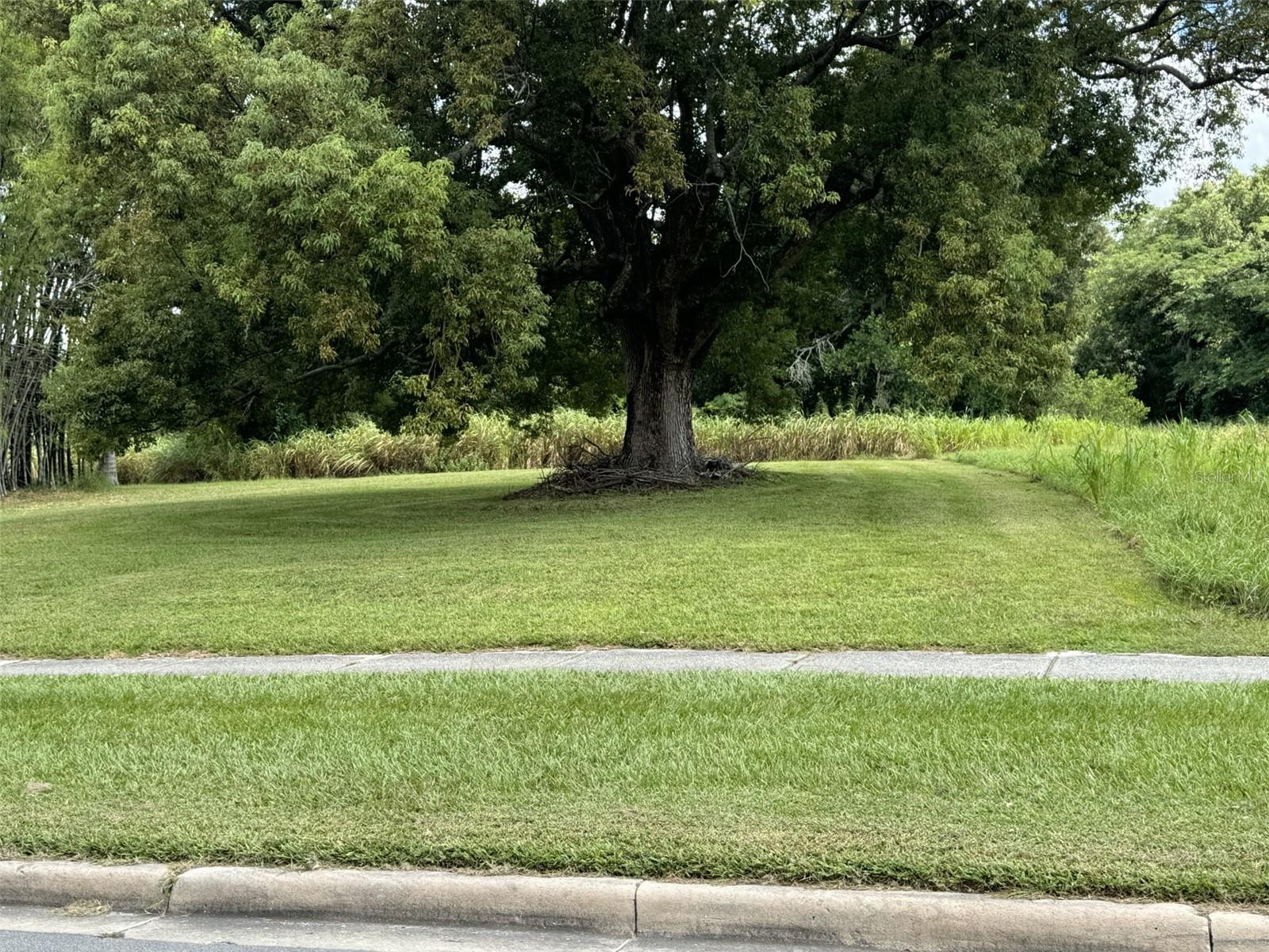 109 109 DR M L KING JR BLVD