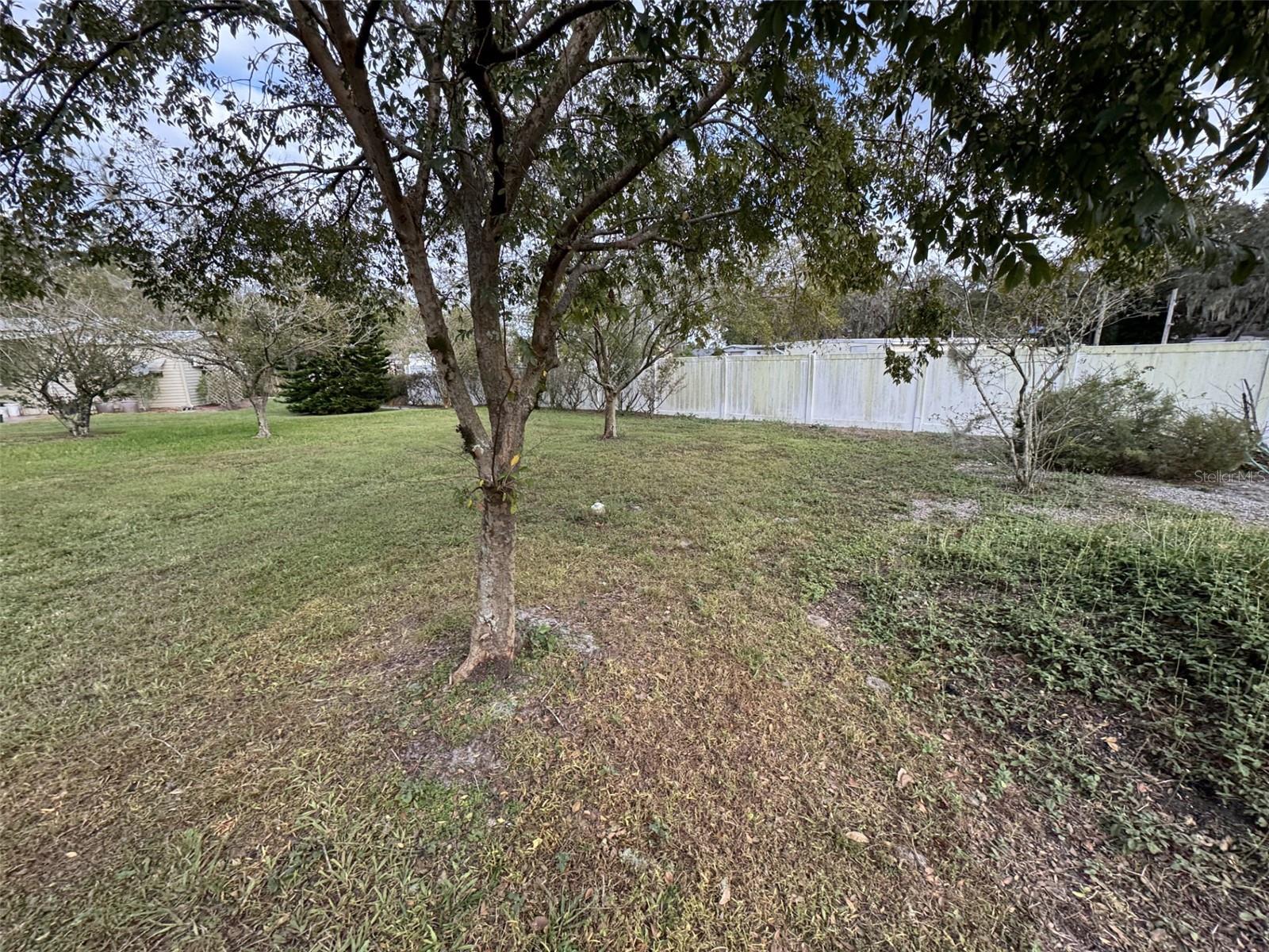 10411 KISSIMMEE BLVD