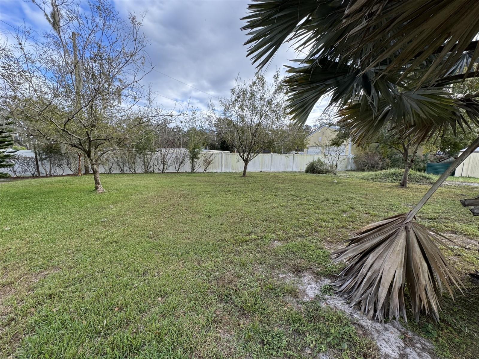 10411 KISSIMMEE BLVD