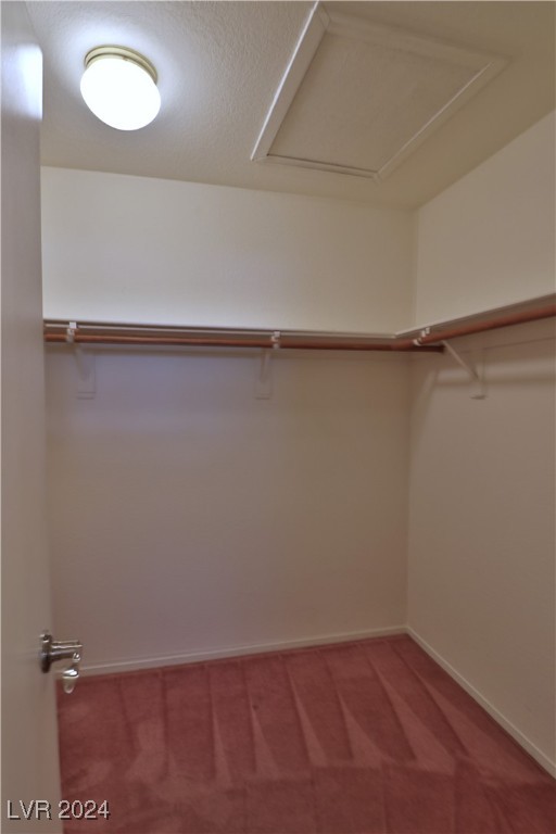 184 Fallon Drive
