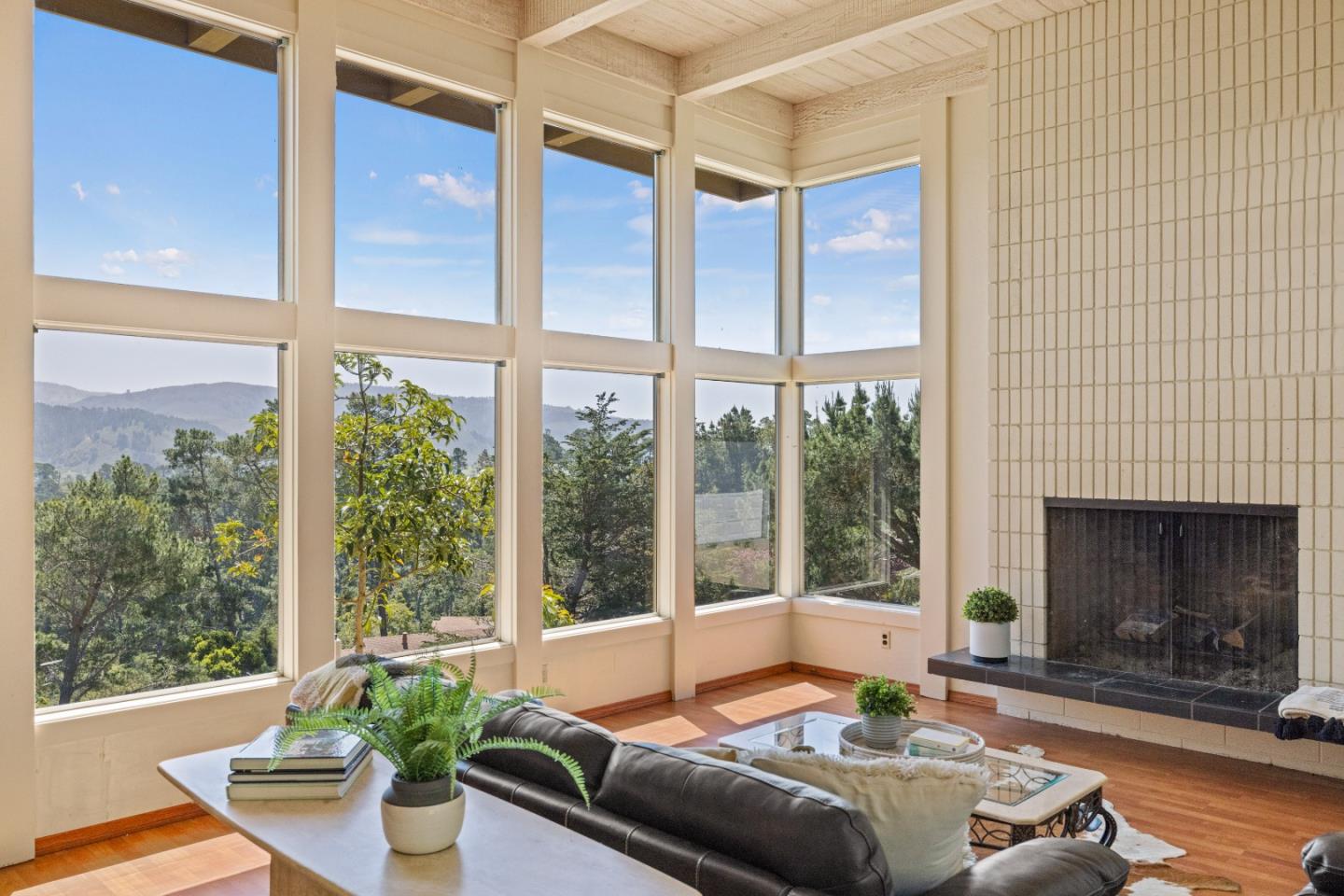 Carmel Views Potential