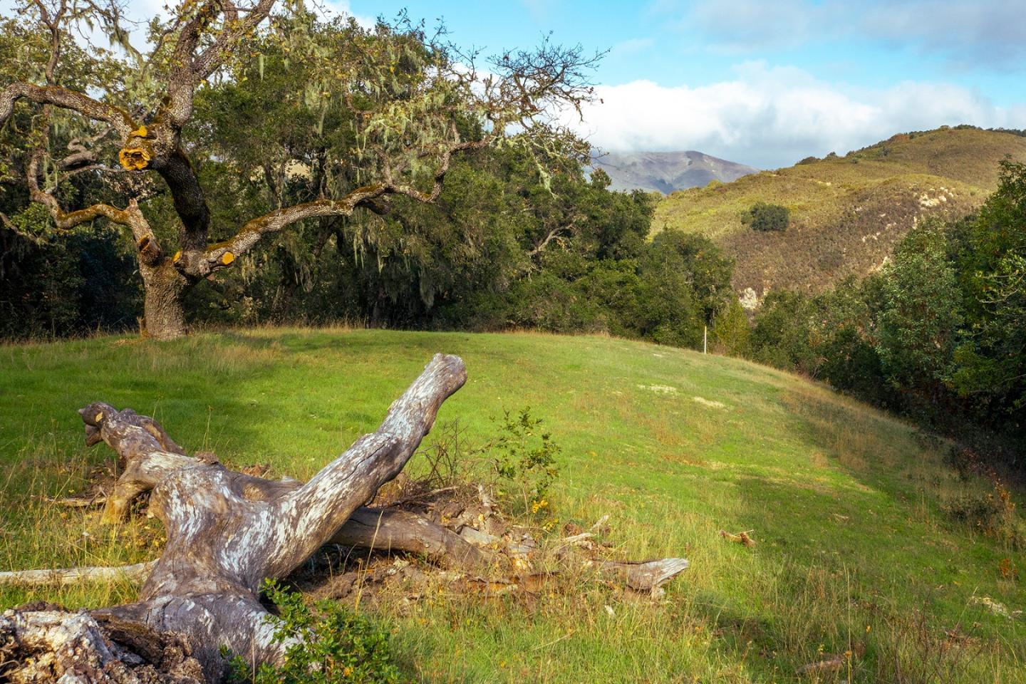 11 Vasquez (Lot 175) TRL