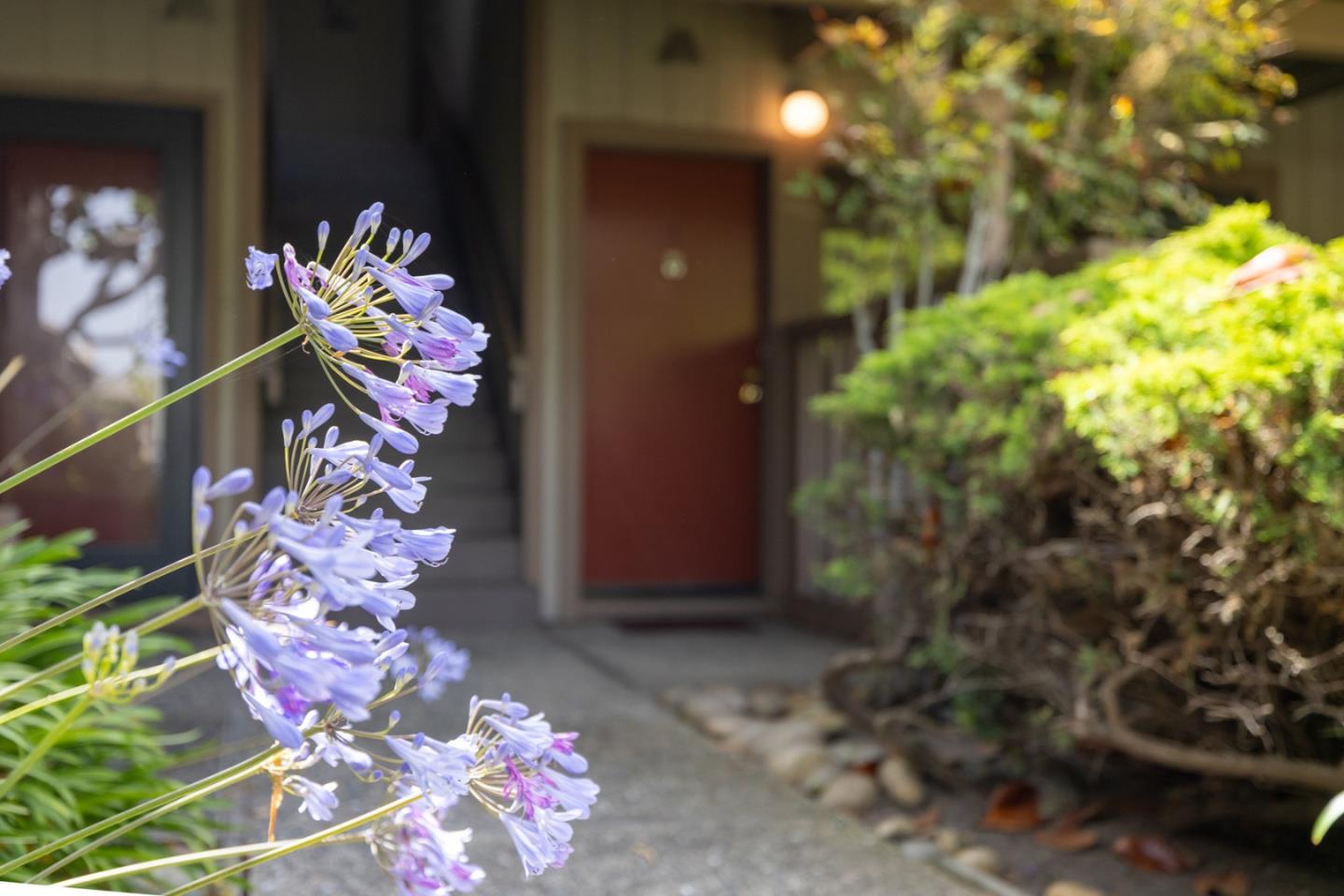 Monterey Gem